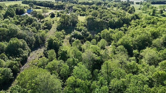 173 Dogtooth Dr, Seymour, MO 65746 - aerial overview of property's location with a heavily wooded area