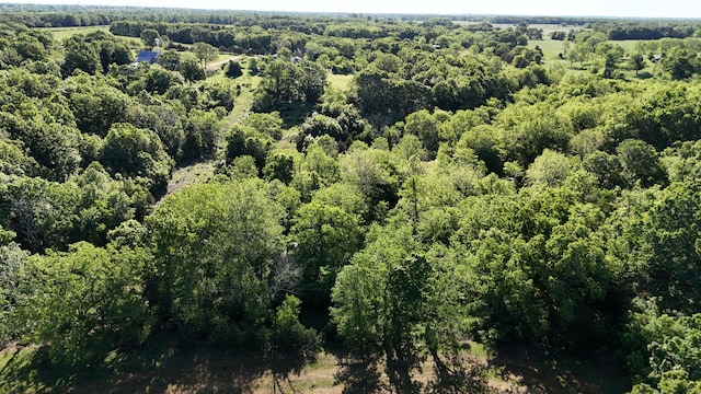 173 Dogtooth Dr, Seymour, MO 65746 - aerial view of property's location featuring a forest