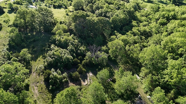 173 Dogtooth Dr, Seymour, MO 65746 - aerial overview of property's location featuring a forest