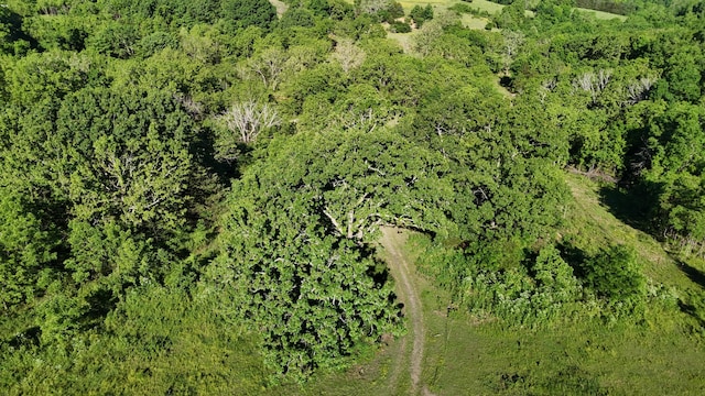 173 Dogtooth Dr, Seymour, MO 65746 - aerial view of property and surrounding area