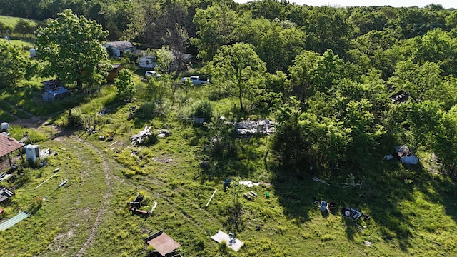 173 Dogtooth Dr, Seymour, MO 65746 - aerial view of property's location