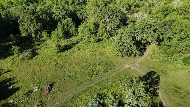 173 Dogtooth Dr, Seymour, MO 65746 - aerial overview of property's location