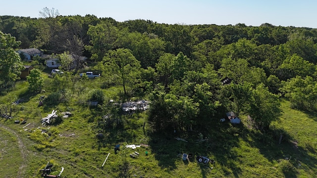 173 Dogtooth Dr, Seymour, MO 65746 - view of property location featuring a forest