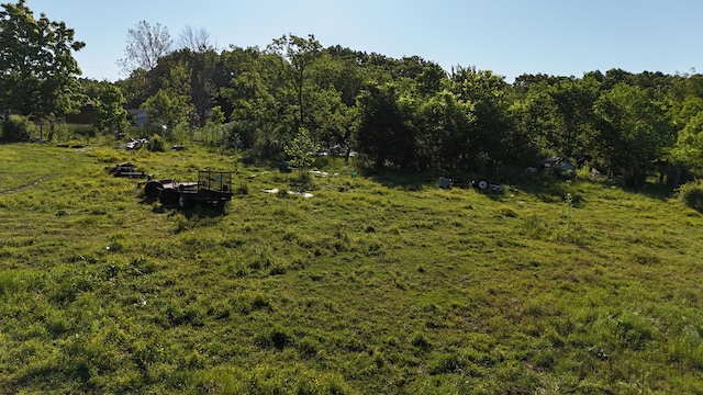 173 Dogtooth Dr, Seymour, MO 65746 - view of woods