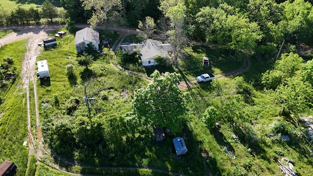 173 Dogtooth Dr, Seymour, MO 65746 - aerial view of property's location