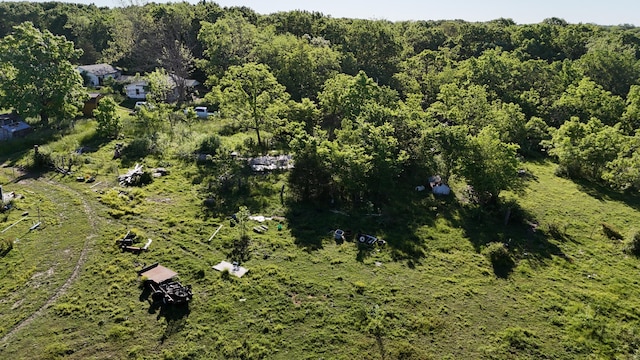 173 Dogtooth Dr, Seymour, MO 65746 - aerial view of property and surrounding area