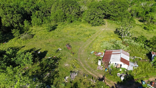 173 Dogtooth Dr, Seymour, MO 65746 - view from above of property featuring a forest
