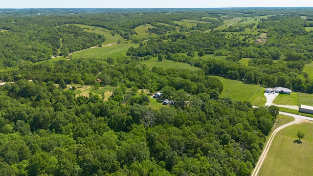 439 Union Chapel Rd, Fordland, MO 65652 - drone / aerial view of a forest