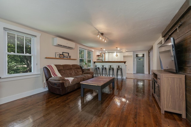 439 Union Chapel Rd, Fordland, MO 65652 - living area with a wall unit AC, dark wood-style flooring, and plenty of natural light