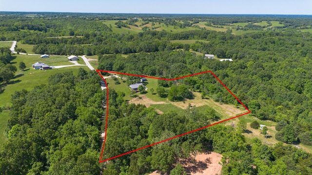 439 Union Chapel Rd, Fordland, MO 65652 - aerial view of property and surrounding area featuring a forest and property parcel outlined