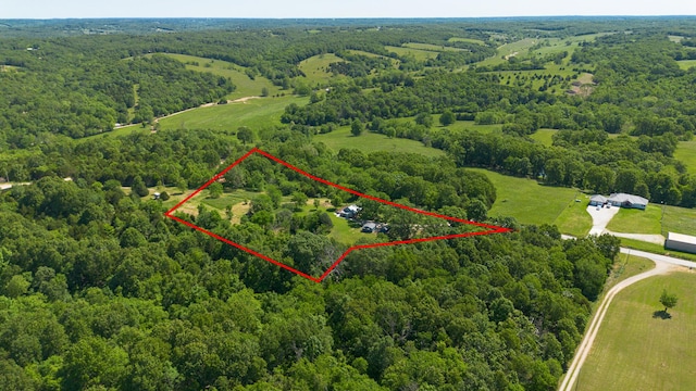 439 Union Chapel Rd, Fordland, MO 65652 - aerial overview of property's location featuring a heavily wooded area and property parcel outlined