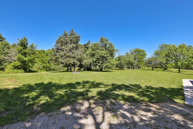 439 Union Chapel Rd, Fordland, MO 65652 - view of green lawn