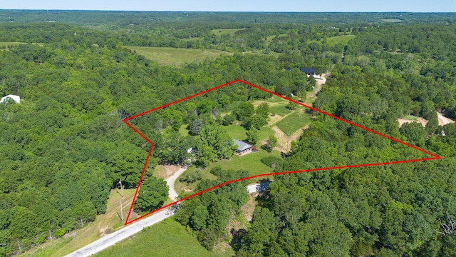 439 Union Chapel Rd, Fordland, MO 65652 - aerial view of property and surrounding area with a forest and property parcel outlined