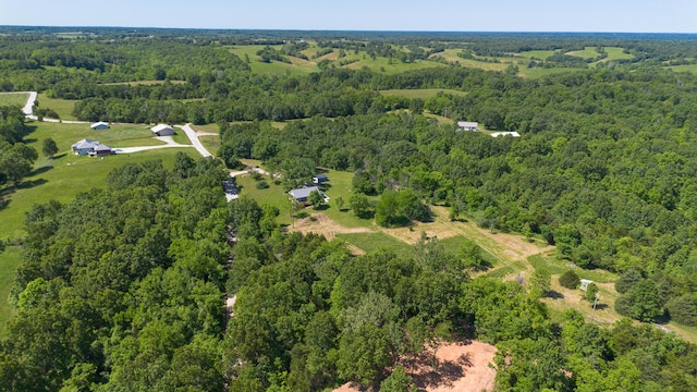 439 Union Chapel Rd, Fordland, MO 65652 - view of property location featuring a heavily wooded area