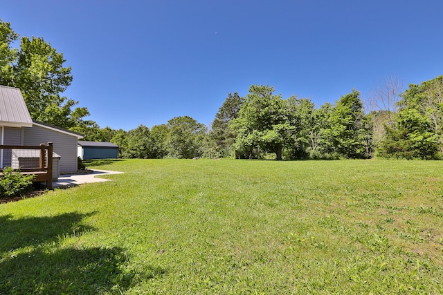 439 Union Chapel Rd, Fordland, MO 65652 - view of green lawn featuring a forest view