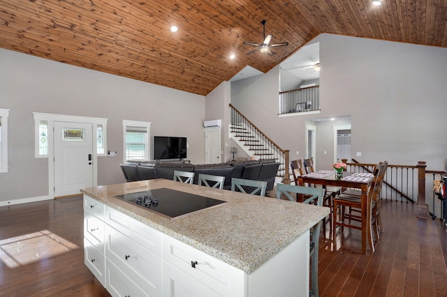 5116 S 165th Rd, Bolivar, MO 65613 - kitchen with black electric stovetop, high vaulted ceiling, a ceiling fan, dark wood-style floors, and light stone counters