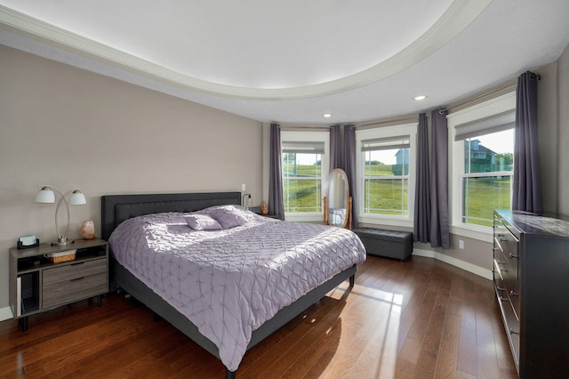 5116 S 165th Rd, Bolivar, MO 65613 - bedroom with dark wood-style floors, baseboards, and recessed lighting