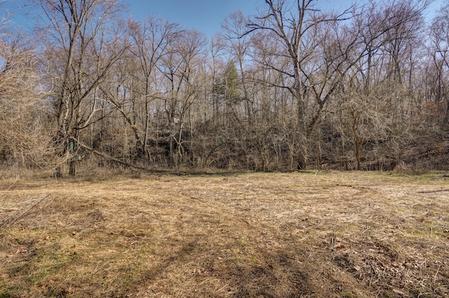 Tbd State Highway Jj, Sparta, MO 65753