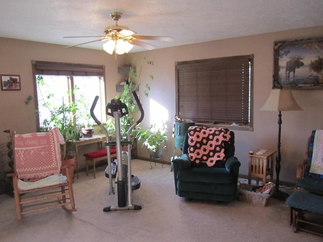 32880 Normal Dr, Eldridge, MO 65463 - exercise room featuring a ceiling fan and carpet floors