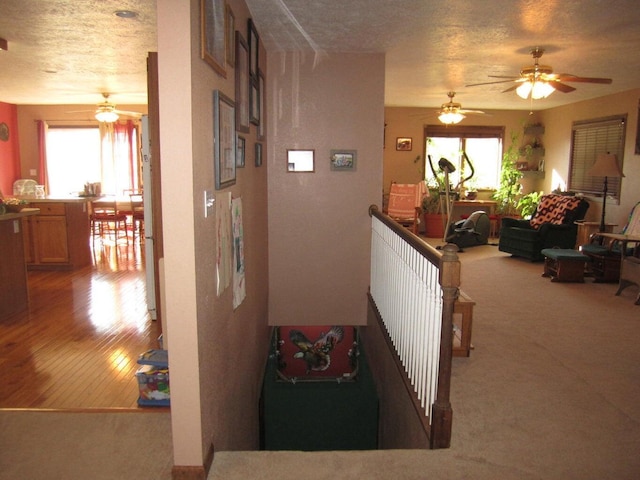 32880 Normal Dr, Eldridge, MO 65463 - hallway with healthy amount of natural light, a textured ceiling, and carpet