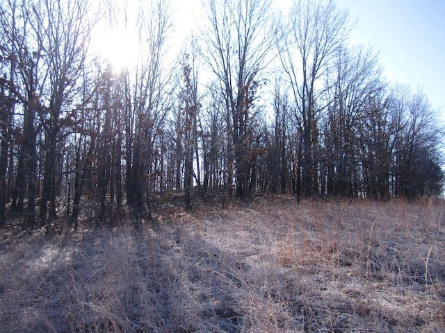 32880 Normal Dr, Eldridge, MO 65463 - view of undeveloped land