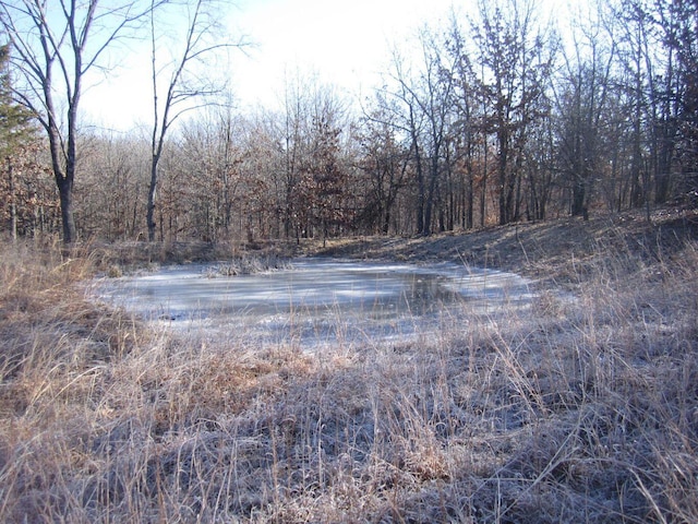 32880 Normal Dr, Eldridge, MO 65463 - view of wooded area