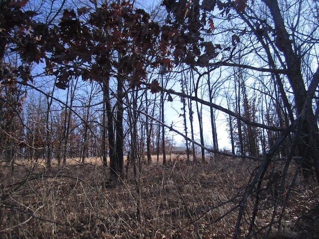 32880 Normal Dr, Eldridge, MO 65463 - view of nature