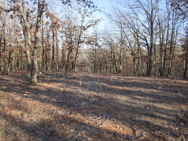 32880 Normal Dr, Eldridge, MO 65463 - view of yard featuring a view of trees