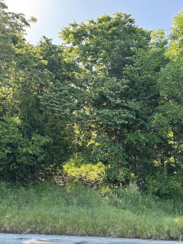 6110 Route E, Pineville, MO 64856 - photo 2