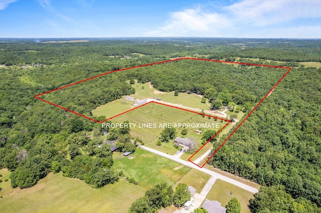 1523 W Farm Road 40, Pleasant Hope, MO 65725 - photo 2