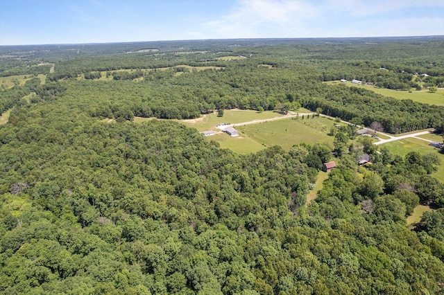 1523 W Farm Road 40, Pleasant Hope, MO 65725 - photo 63