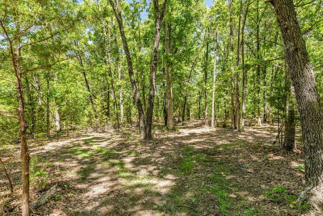 1523 W Farm Road 40, Pleasant Hope, MO 65725 - photo 53