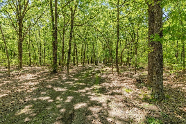 1523 W Farm Road 40, Pleasant Hope, MO 65725 - photo 54
