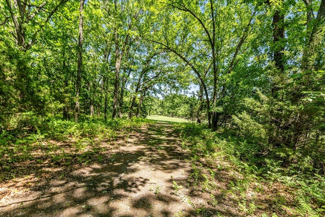 1523 W Farm Road 40, Pleasant Hope, MO 65725 - photo 51