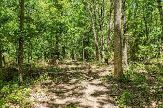 1523 W Farm Road 40, Pleasant Hope, MO 65725 - photo 52
