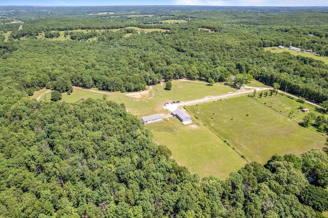 1523 W Farm Road 40, Pleasant Hope, MO 65725 - photo 64