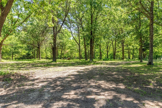 1523 W Farm Road 40, Pleasant Hope, MO 65725 - photo 48