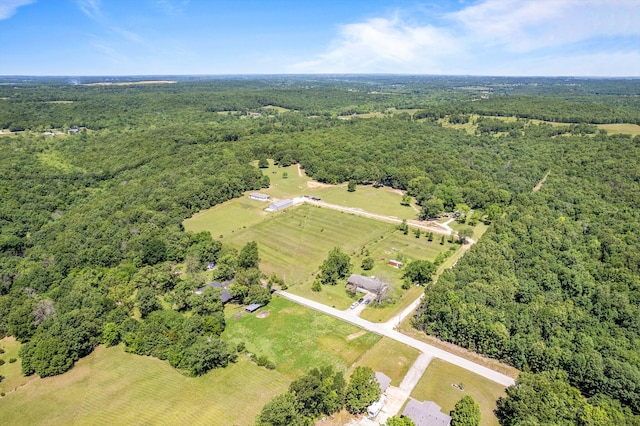 1523 W Farm Road 40, Pleasant Hope, MO 65725 - photo 61