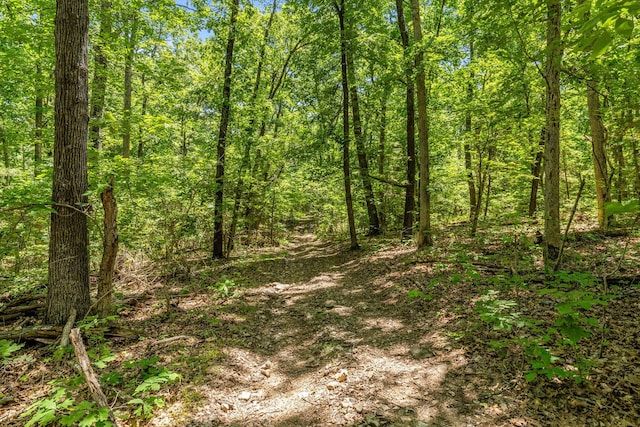 1523 W Farm Road 40, Pleasant Hope, MO 65725 - photo 55