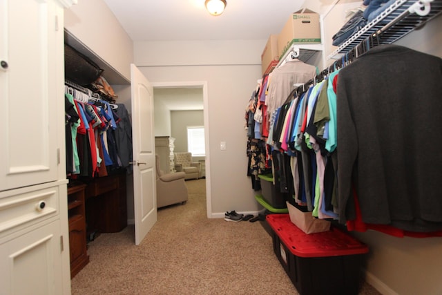 2362 Hazelwood Rd, Seymour, MO 65746 - spacious closet with light carpet
