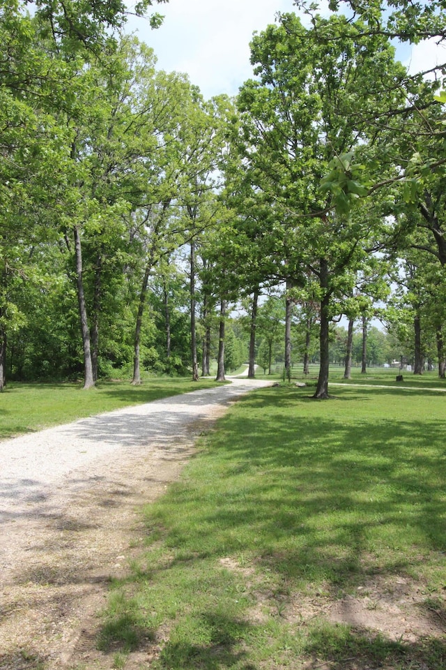 2362 Hazelwood Rd, Seymour, MO 65746 - view of road