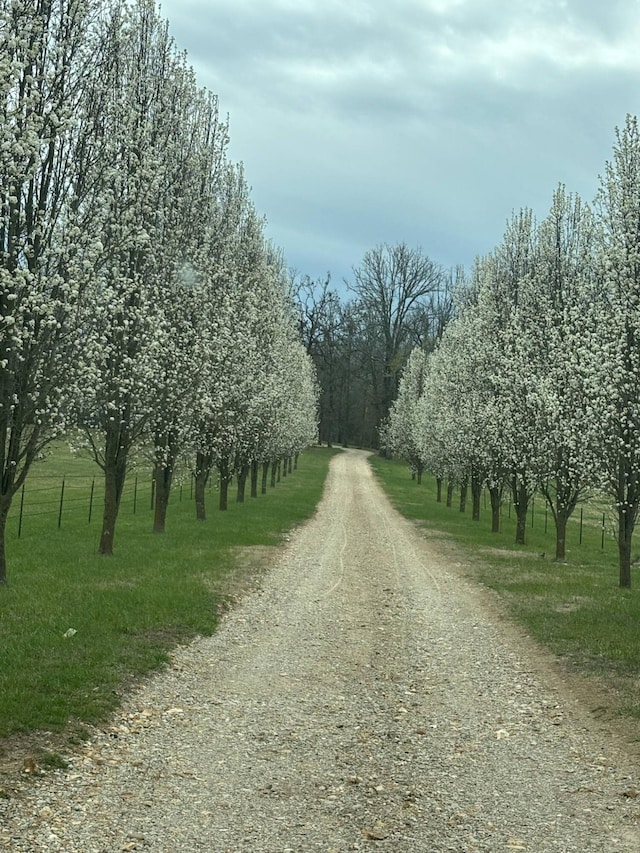 2362 Hazelwood Rd, Seymour, MO 65746 - view of dirt / gravel road