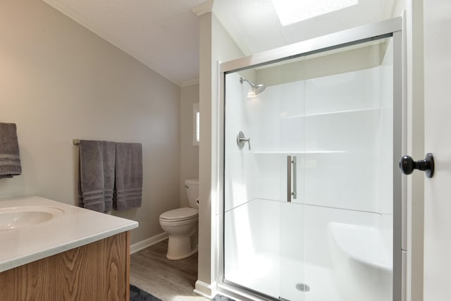 269 Moore Ln, Blue Eye, MO 65611 - bathroom with wood finished floors, toilet, a stall shower, vanity, and vaulted ceiling