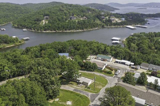 269 Moore Ln, Blue Eye, MO 65611 - view of property location featuring a water and mountain view and a heavily wooded area