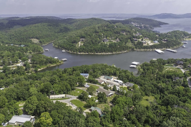 269 Moore Ln, Blue Eye, MO 65611 - aerial view of property's location featuring a water and mountain view and a heavily wooded area