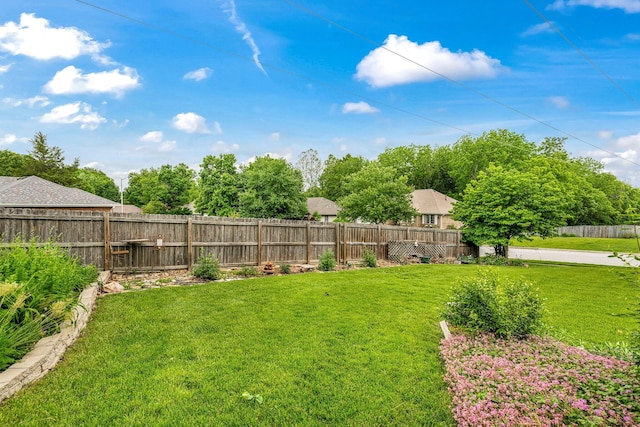 3745 W Greenwood St, Springfield, MO 65807 - photo 40