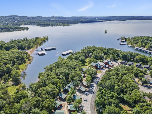 26 Cave Ln Unit 10, Indian Point, MO 65616 - drone / aerial view of a nearby body of water