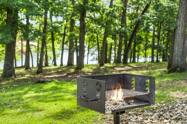 26 Cave Ln Unit 10, Indian Point, MO 65616 - view of home's community featuring a water view