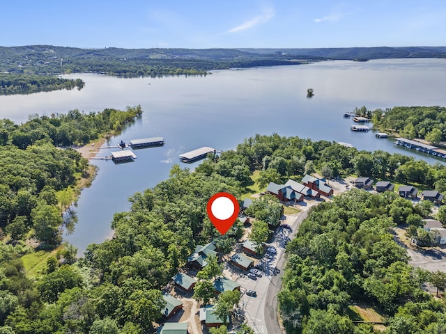 26 Cave Ln Unit 10, Indian Point, MO 65616 - drone / aerial view of a nearby body of water
