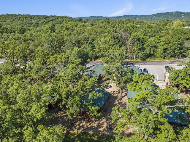 26 Cave Ln Unit 10, Indian Point, MO 65616 - drone / aerial view of a forest
